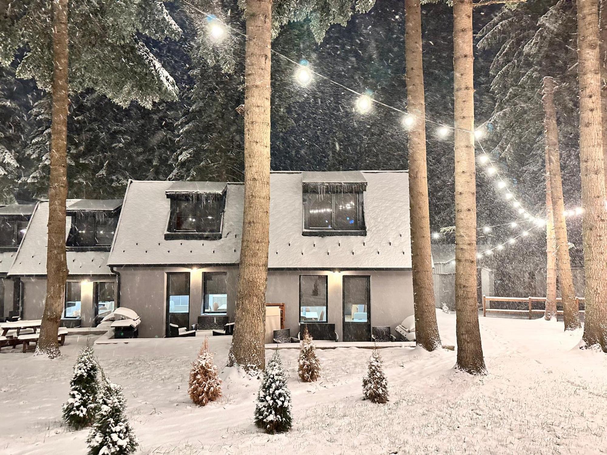 Boro Green Holiday Village 波罗维茨 外观 照片