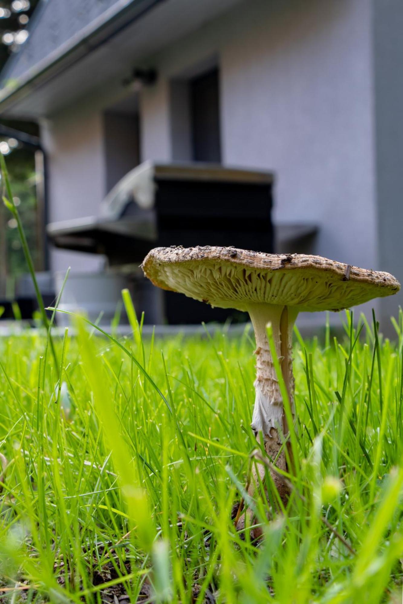 Boro Green Holiday Village 波罗维茨 外观 照片